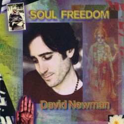David (Durga Das) Newman Soul Freedom