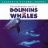Dolphin and Whales