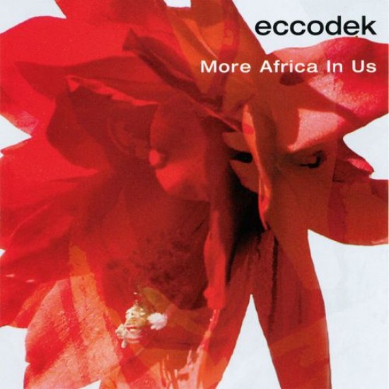 Eccodek More Africa in Us