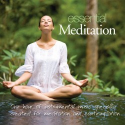 Essential Meditation Patrick Kelly