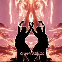 Various Artists (Music Mosaic Collection) GrooVitalize