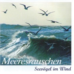 Karl-Heinz Dingler Meeresrauschen - Seevogel im Wind
