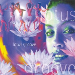 Various Artists (Music Mosaic Collection) Lotus Groove