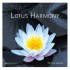 Lotus Harmony Patricia Tamana