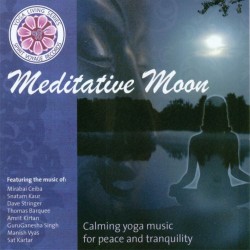 Various Artists (Spirit Voyage) Meditative Moon