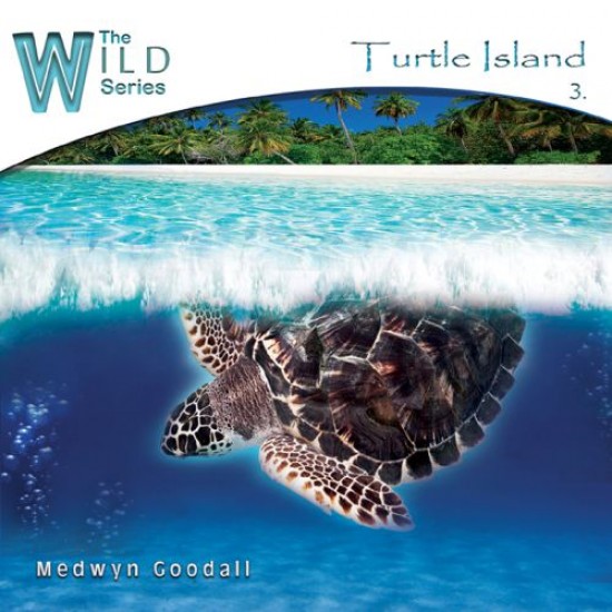 Medwyn Goodall Turtle Island