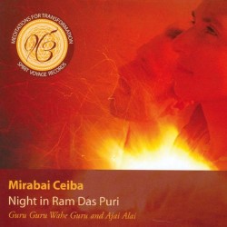 Mirabai Ceiba Night in Ram Das Puri