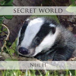 Neil H Secret World