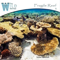 Simon Lovelock Fragile Reef