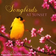 Solitudes Songbirds At Sunset