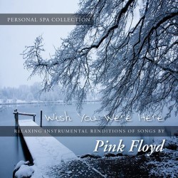 The Personal Spa Collection Wish You Were Here Pink Floyd