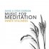 Steve and David Gordon Inner Stillness Music for Meditation