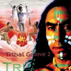 Various Artists (Music Mosaic Collection) Tribal Groove Vol. 2