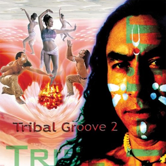 Various Artists (Music Mosaic Collection) Tribal Groove Vol. 2