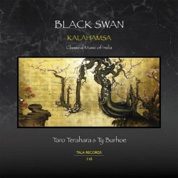 Ty Burhoe Black Swan - Kalahamsa