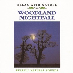Woodland Nightfall
