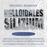 Michael Reimann Kolloidales Silizium 
