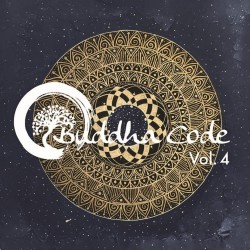 Tim Vogt Buddha Code Volume 4 